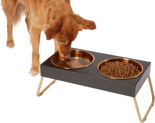 Frisco Copper Stainless Steel Elevated Foldable Double Dog and Cat Bowls - Intensery