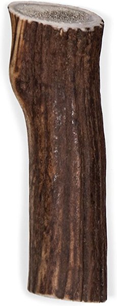 Little Loyals Grade AA Premium Whole Deer Medium Antler Chew Dog Treat - Intensery