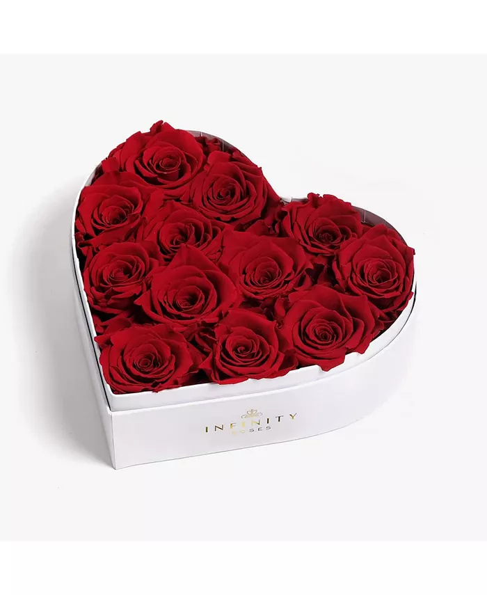 Infinity Roses Heart Box of 12 Red Real Roses Preserved to Last Over a Year - Intensery