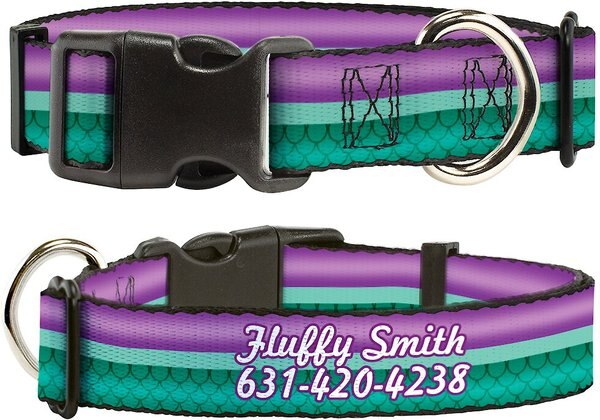 Buckle-Down Disney Little Mermaid Stripe and Shell Polyester Personalized Dog Collar - Intensery
