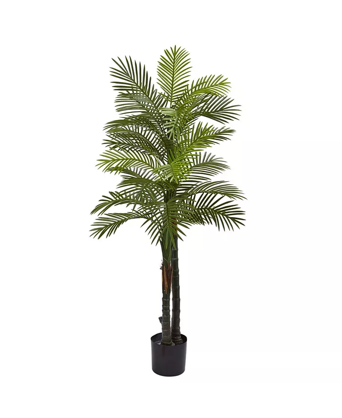 Nearly Natural 5.5’ Indoor Outdoor UV-Resistant Artificial Double Robellini Palm Tree - Intensery