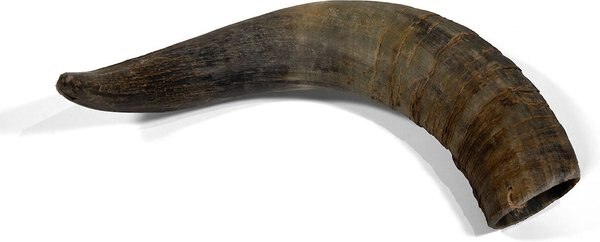 Little Loyals Premium Cattle Horn Dog Chew - Intensery