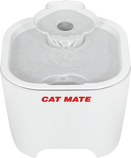 Cat Mate Shell Plastic Dog and Cat Fountain， 100-oz - Intensery