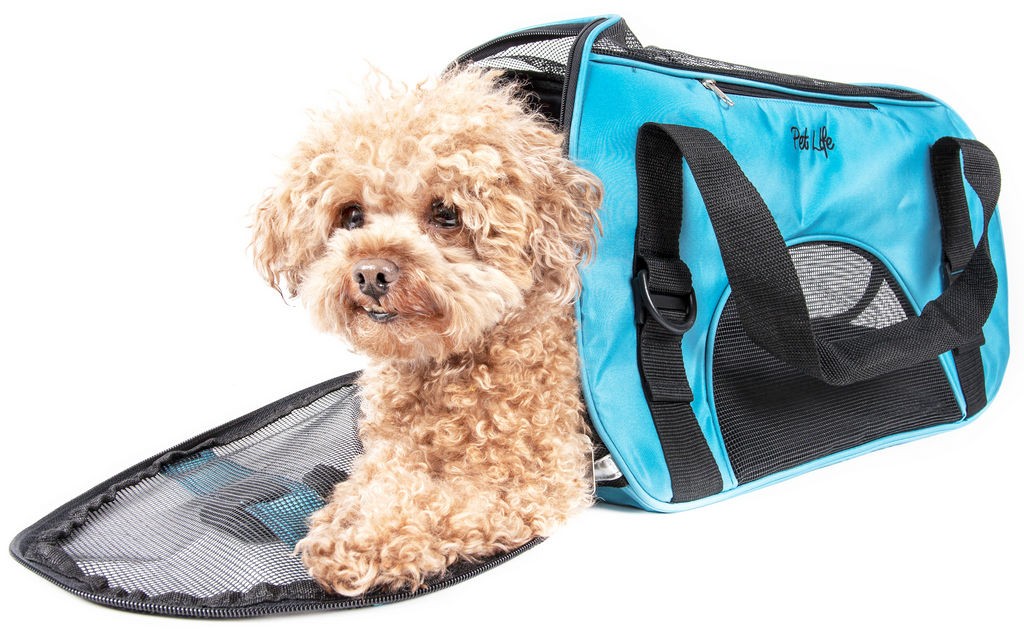 Pet Life Airline Approved Altitude Force Sporty Zippered Fashion Pet Carrier in Blue (Large) - Pet Life B46BLLG - Intensery