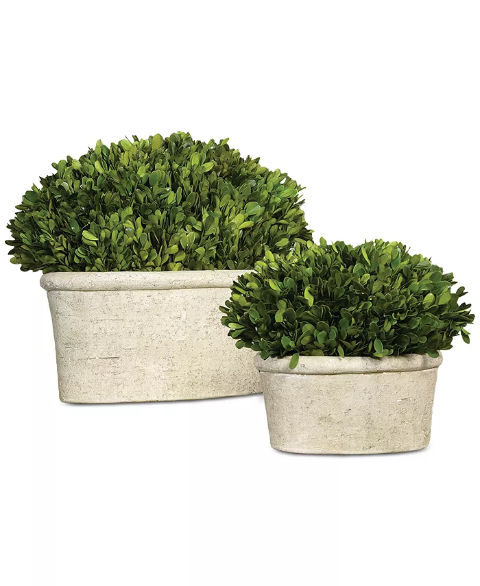 Uttermost Preserved Boxwood Oval Domes， Set of 2 - Intensery