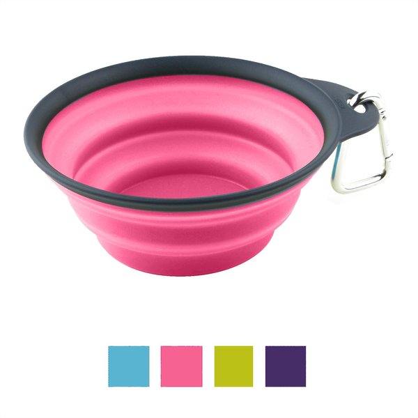 Dexas Popware for Pets Collapsible Travel Non-Skid Silicone Dog and Cat Bowl with Carabiner - Intensery