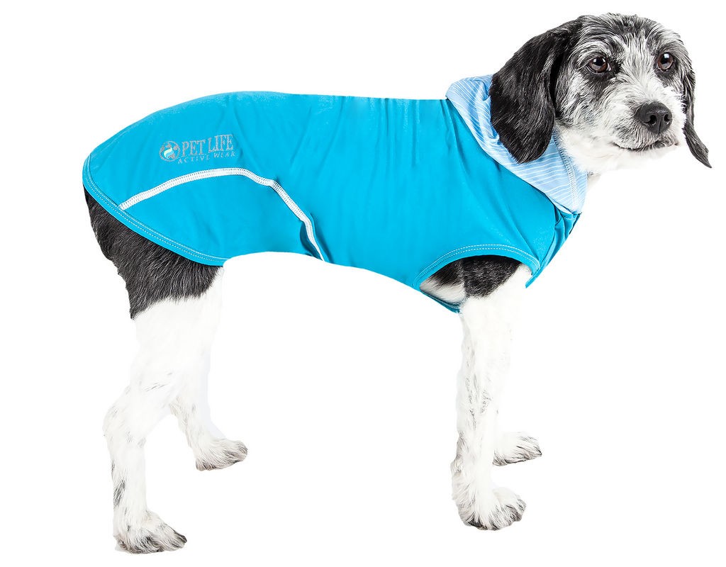 Pet Life Active 'Pull-Rover' Premium 4-Way Stretch Two-Toned Performance Sleeveless Dog T-Shirt Tank Top Hoodie in Electric Blue (X-small) - Pet Life - Intensery