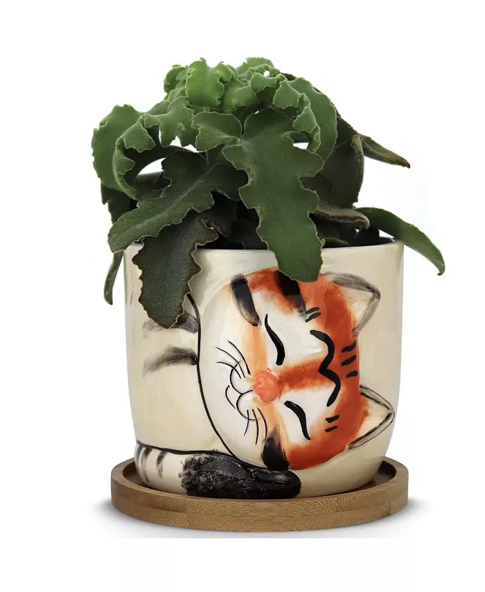Window Garden Animal Planters - Large Kitty Pot (Tigger) Purrfect for Indoor Live House Plants， Succulents， Flowers and Herbs， Super Cute Planter Gift - Intensery