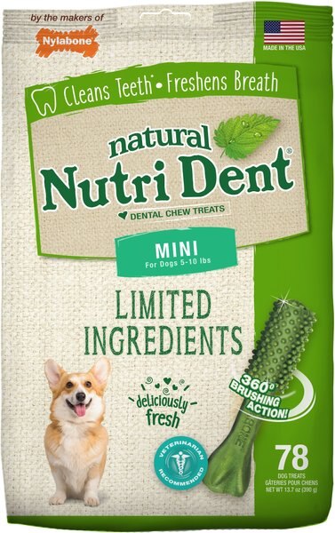 Nylabone Nutri Dent Limited Ingredients Fresh Breath Natural Dental Dog Treats， Mini， 78 count - Intensery
