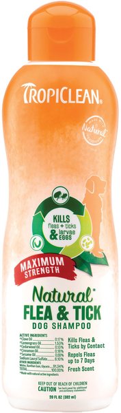TropiClean Maximum Strength Natural Flea and Tick Dog Shampoo - Intensery