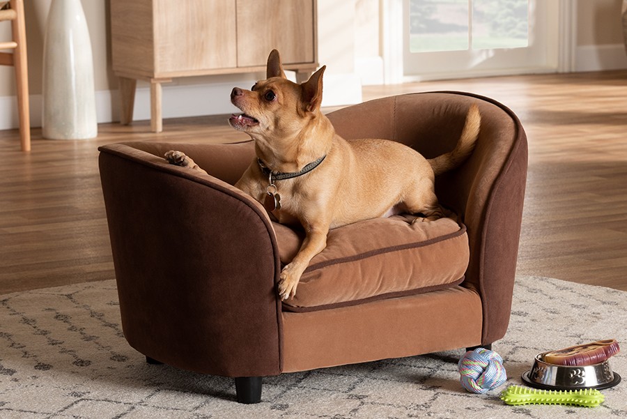 Wholesale Interiors Baxton Studio Hayes Modern and Contemporary Two-Tone Light Brown and Dark Brown Fabric Upholstered Pet Sofa Bed- LD2191-Light Brow - Intensery