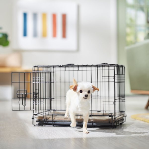Frisco Heavy Duty Fold and Carry Double Door Collapsible Wire Dog Crate - Intensery