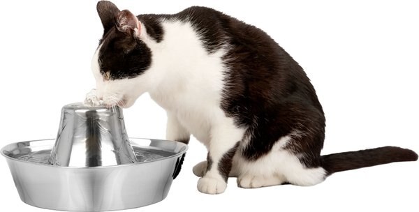 PetSafe Seaside Stainless Steel Cat Water Fountain， 60-oz - Intensery