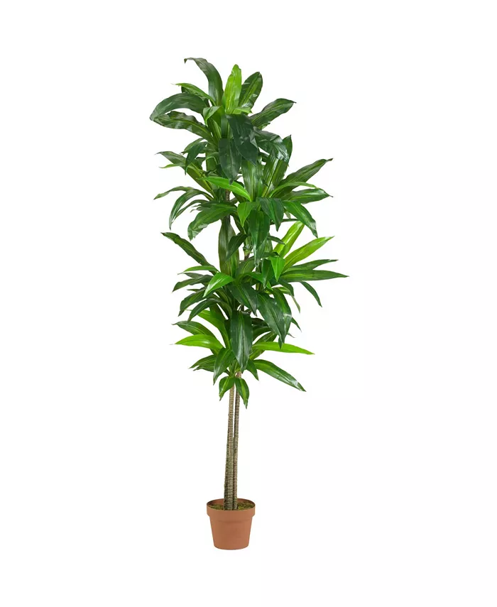 Nearly Natural 6' Dracaena Real Touch Artificial Plant - Intensery