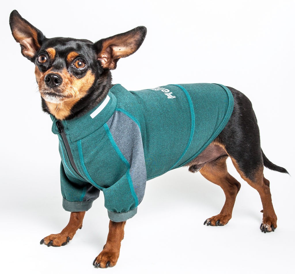Dog Helios 'Eboneflow' Mediumweight 4-Way-Stretch Flexible And Breathable Performance Dog Yoga T-Shirt in Forest Green / Grey (Medium) - Pet Life TSHL - Intensery