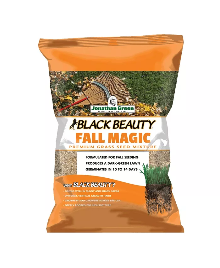 Jonathan Green (#10765) Black Beauty Fall Magic Grass Seed， 3lb bag - Intensery