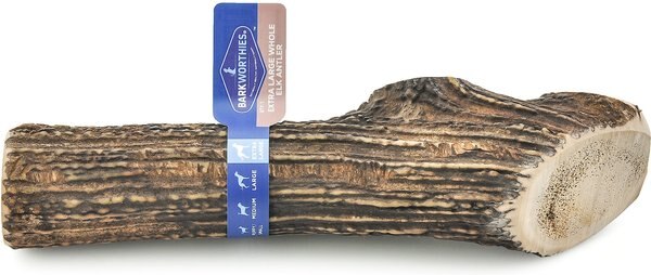 Barkworthies Whole Elk Antler Dog Chew， X-Large - Intensery