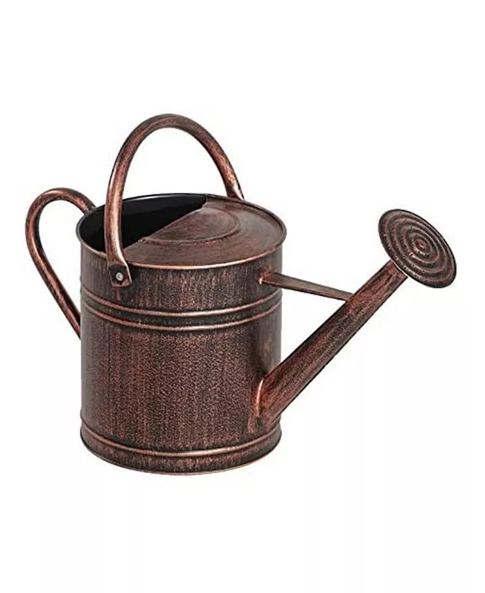 Panacea Metal Watering Can， Brushed Bronze， 2 Gallons - Intensery