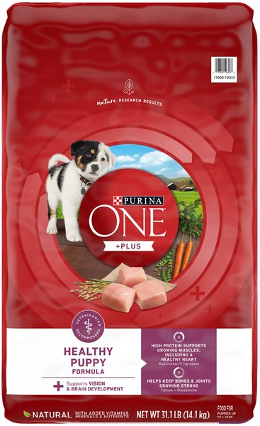 Purina ONE +Plus High Protein Healthy Puppy Formula Dry Puppy Food - Intensery