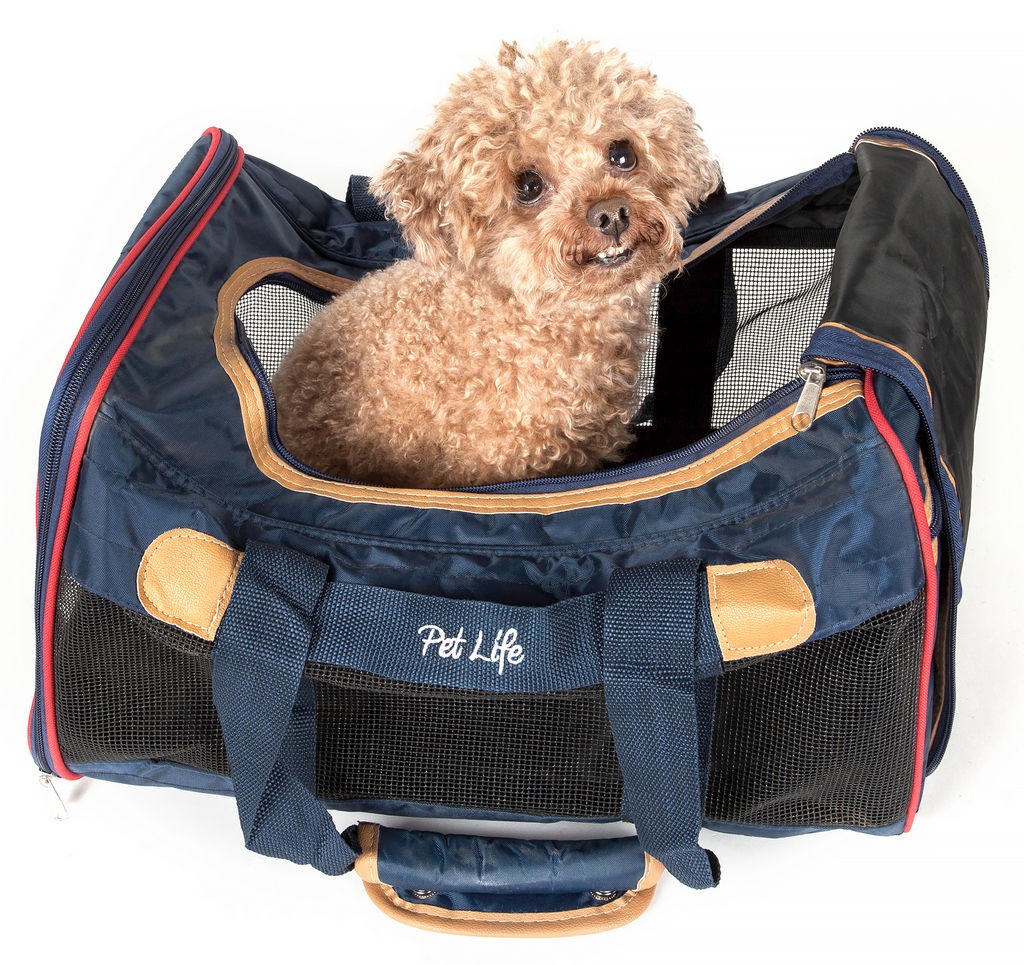 Pet Life Airline Approved Aero-Zoom Lightweight Wire Framed Collapsible Pet Carrier in Dark Blue (One Size) - Pet Life B37BLMD - Intensery