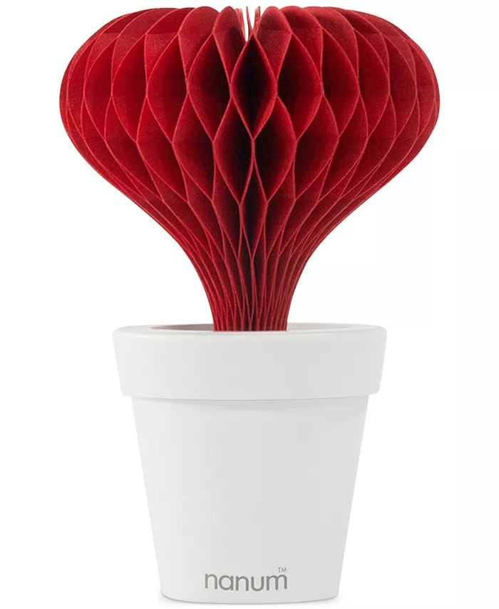 Hitrons Solutions Natural Water Non-Electric Personal Heart Humidifier， Red - Intensery