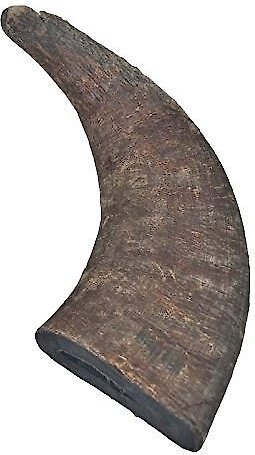 Top Dog Chews Natural Water Buffalo Horns Dog Treats - Intensery