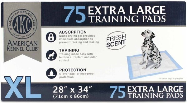 American Kennel Club AKC Dog Training Pads， 28 x 34-in， Fresh Scented - Intensery