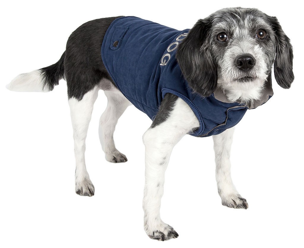 Touchdog Waggin Swag Reversible Insulated Pet Coat in Blue / Grey (X-Small) - Pet Life JKTD9BLXS - Intensery