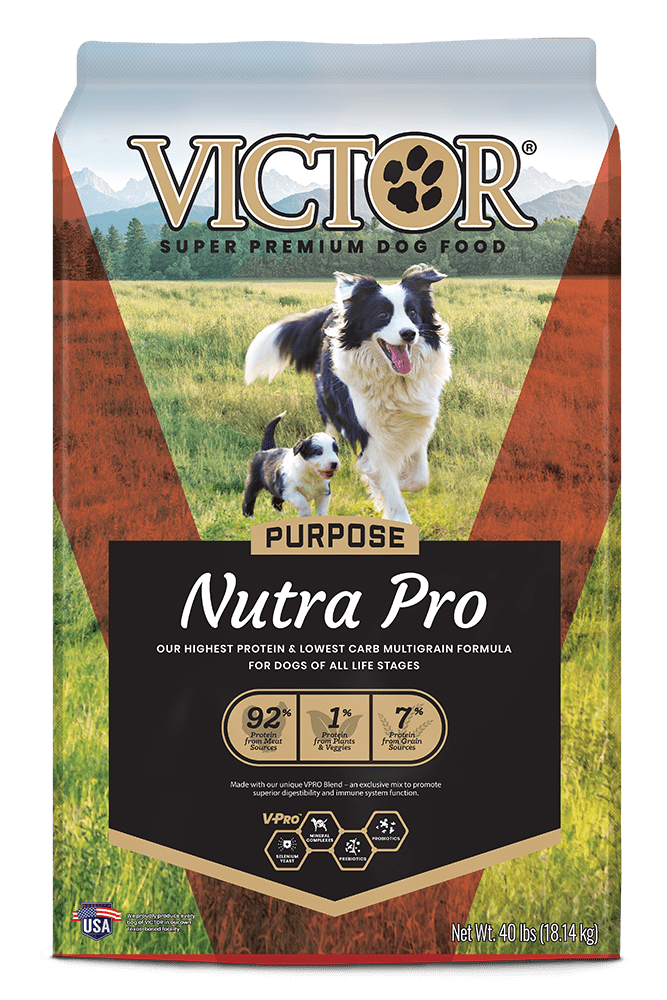 Victor Purpose Nutra Pro Dry Dog Food - 40 lb Bag - Intensery
