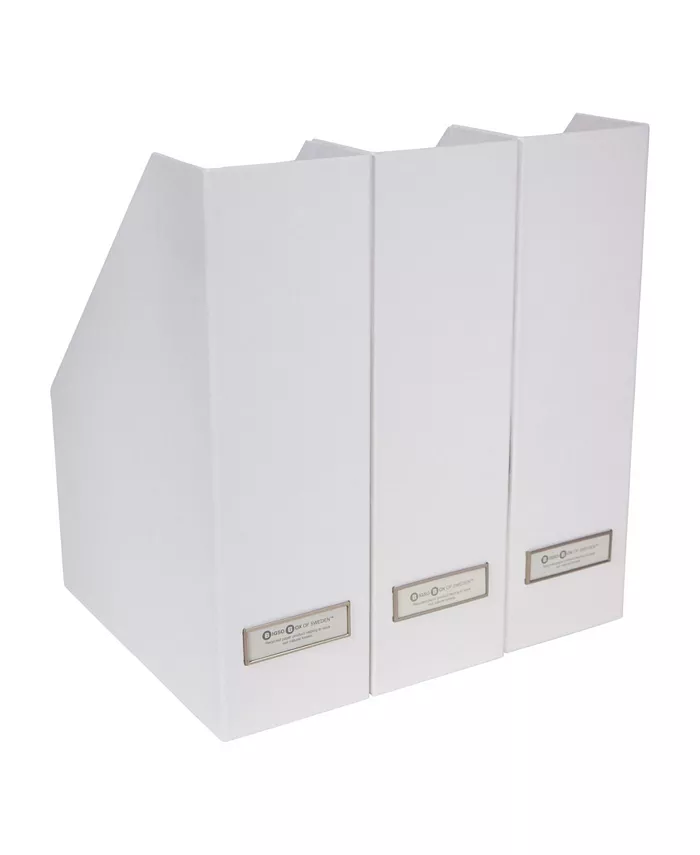 Bigso Box of Sweden Viktoria Mag File， Set of 3 - Intensery