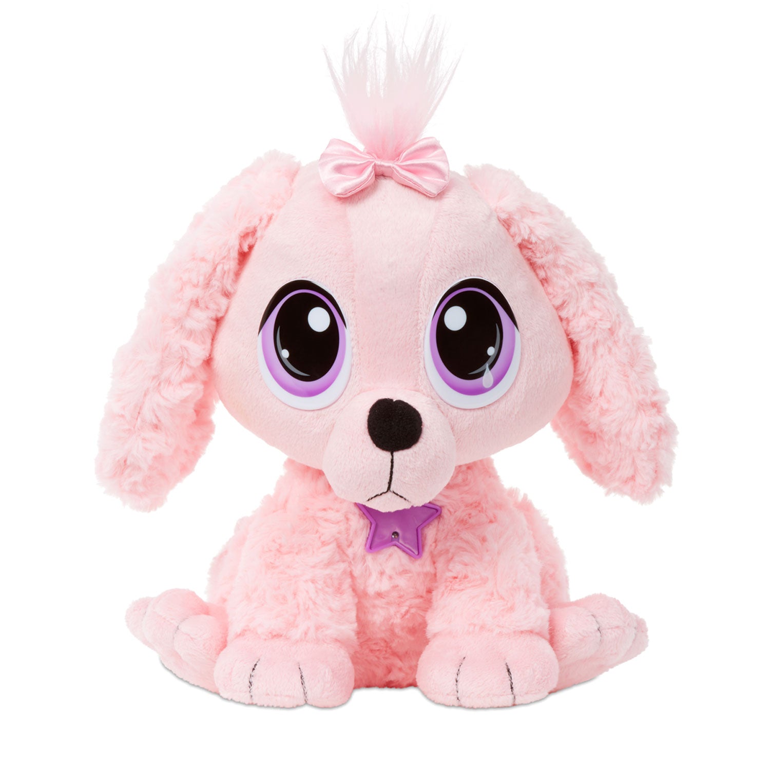 Rescue Tales™ Adoptable Pets - Poodle - Intensery