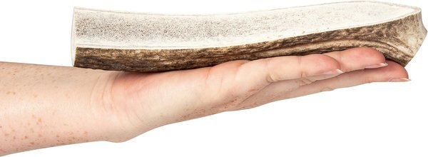 K9warehouse Elk Antlers X-Large Split Dog Chew Treat - Intensery