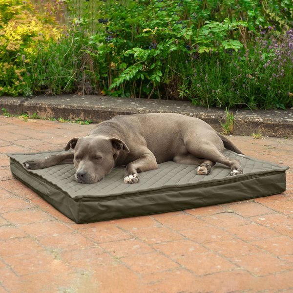 FurHaven Quilt Top Memory Foam Convertible Indoor/Outdoor Cat and Dog Bed - Intensery