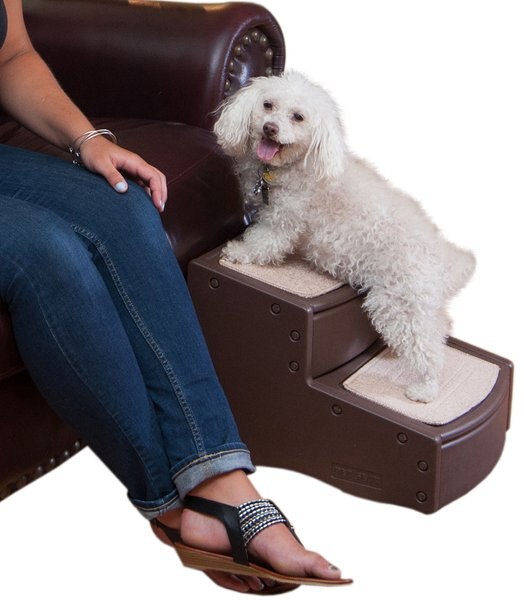 Pet Gear Easy Step II Cat and Dog Stairs - Intensery