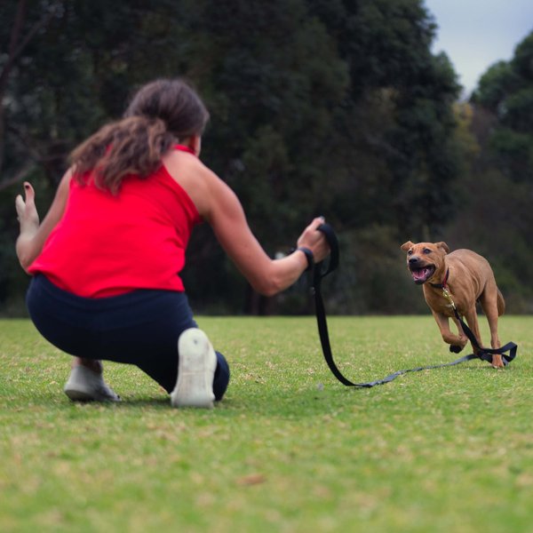 Canny Recall Extra Long Dog Training Leash - Intensery