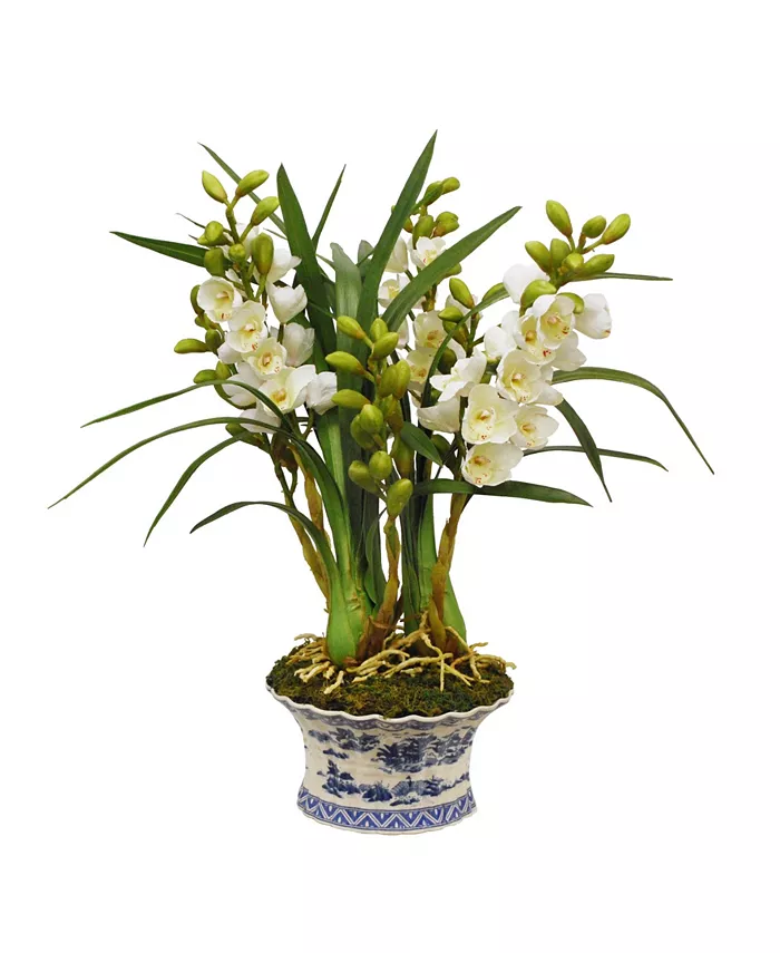 Winward Silks Permanent Botanicals Orchid in Oval Planter - Intensery