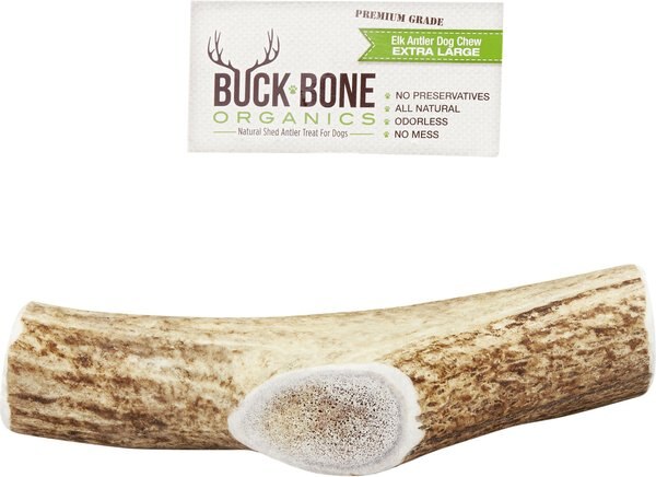 Buck Bone Organics Whole Elk Antler Dog Chews， 8-10 in - Intensery