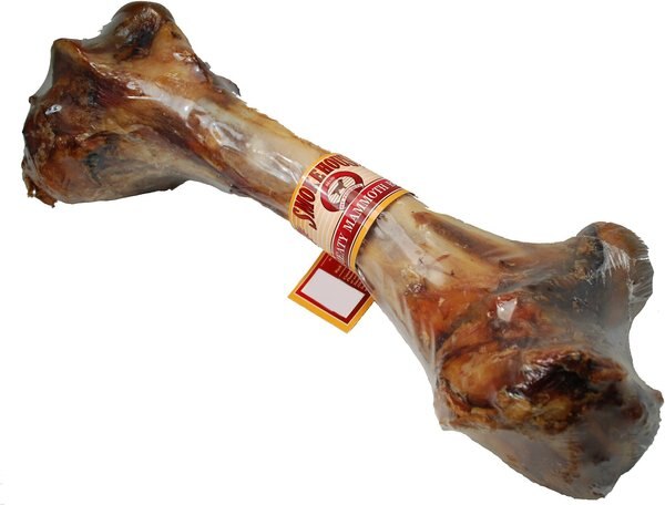 Smokehouse USA Meaty Mammoth Femur Bone Dog Treats - Intensery