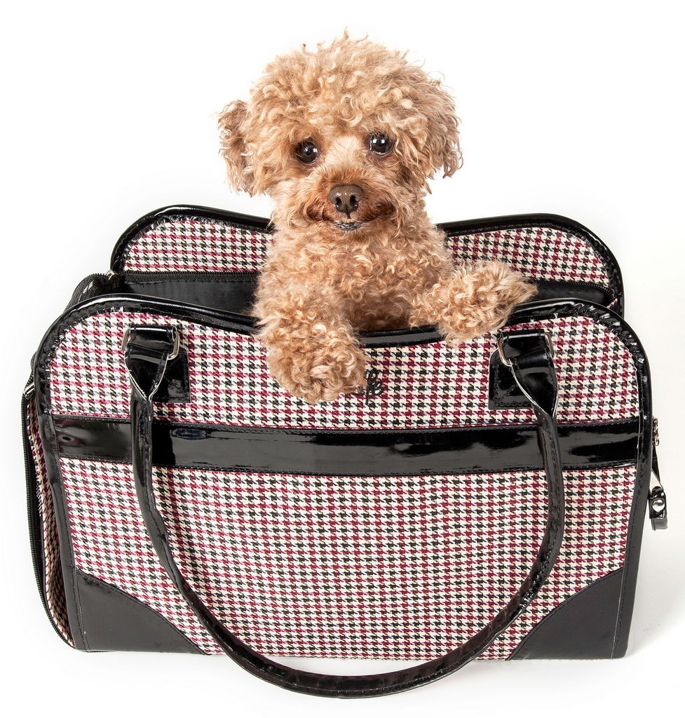 Pet Life Exquisite' Handbag Fashion Pet Carrier in Multi-color (One Size) - Pet Life B23DSMD - Intensery