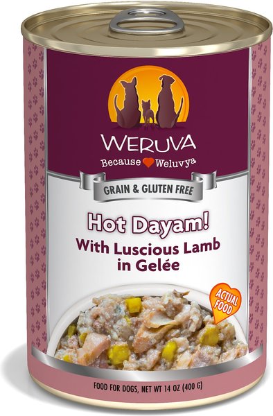 Weruva Hot Dayam! With Luscious Lamb in Gelee Grain-Free Canned Dog Food - Intensery