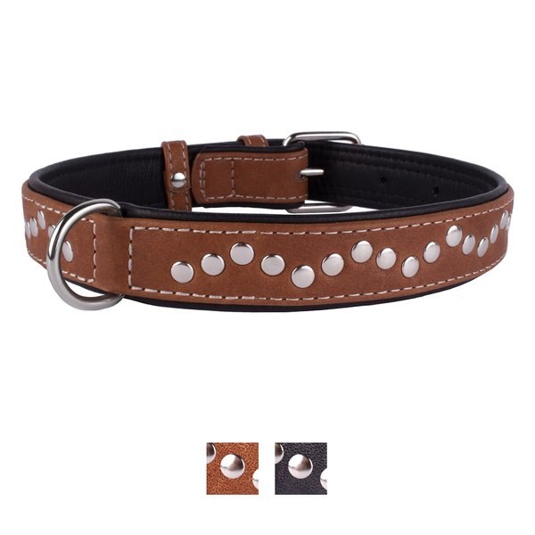 CollarDirect Handmade Studded Leather Dog Collar - Intensery