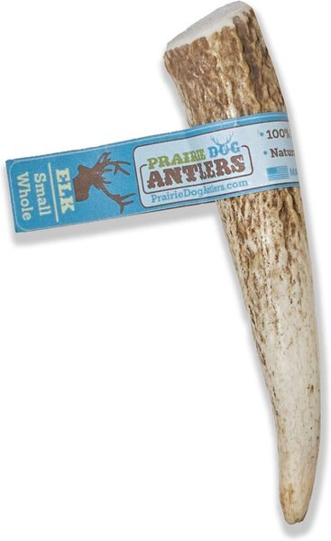 Prairie Dog Whole Elk Antler Dog Chews， 4 - 5.5 inch - Intensery