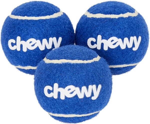Frisco Chewy Fetch Squeaky Tennis Ball Dog Toy， 3 count - Intensery