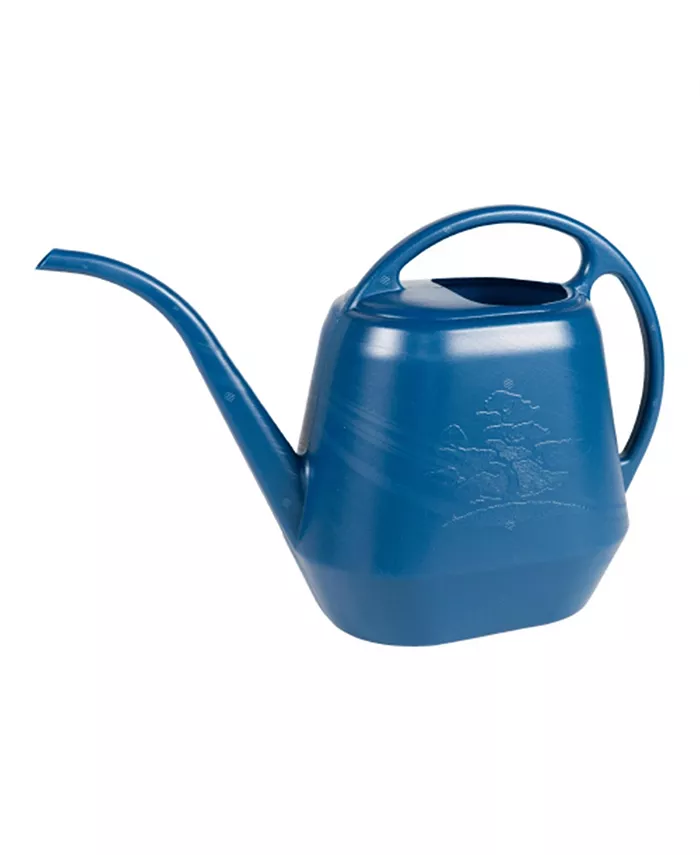 Bloem Aqua Rite Plastic Watering Can， Classic Blue， 144 oz - Intensery