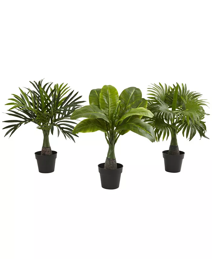 Nearly Natural 3-Pc. Areca， Fountain Banana Palm Artificial Plant Set - Intensery