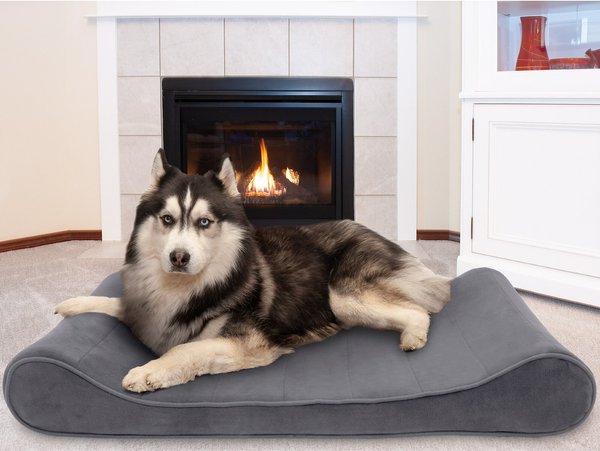 FurHaven Microvelvet Luxe Lounger Cooling Gel Dog Bed w/Removable Cover - Intensery