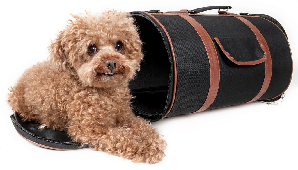 Pet Life Airline Approved Fashion Cylinder Posh Pet Carrier in Black/Brown (One Size) - Pet Life B26BRBMD - Intensery