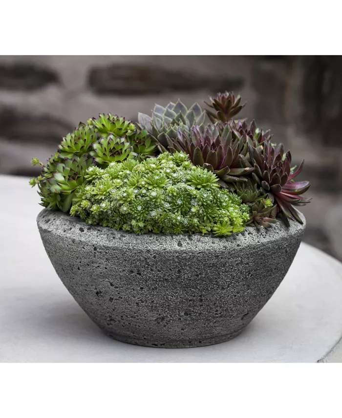 Campania International Rustic Lo Bowl Planter - Intensery