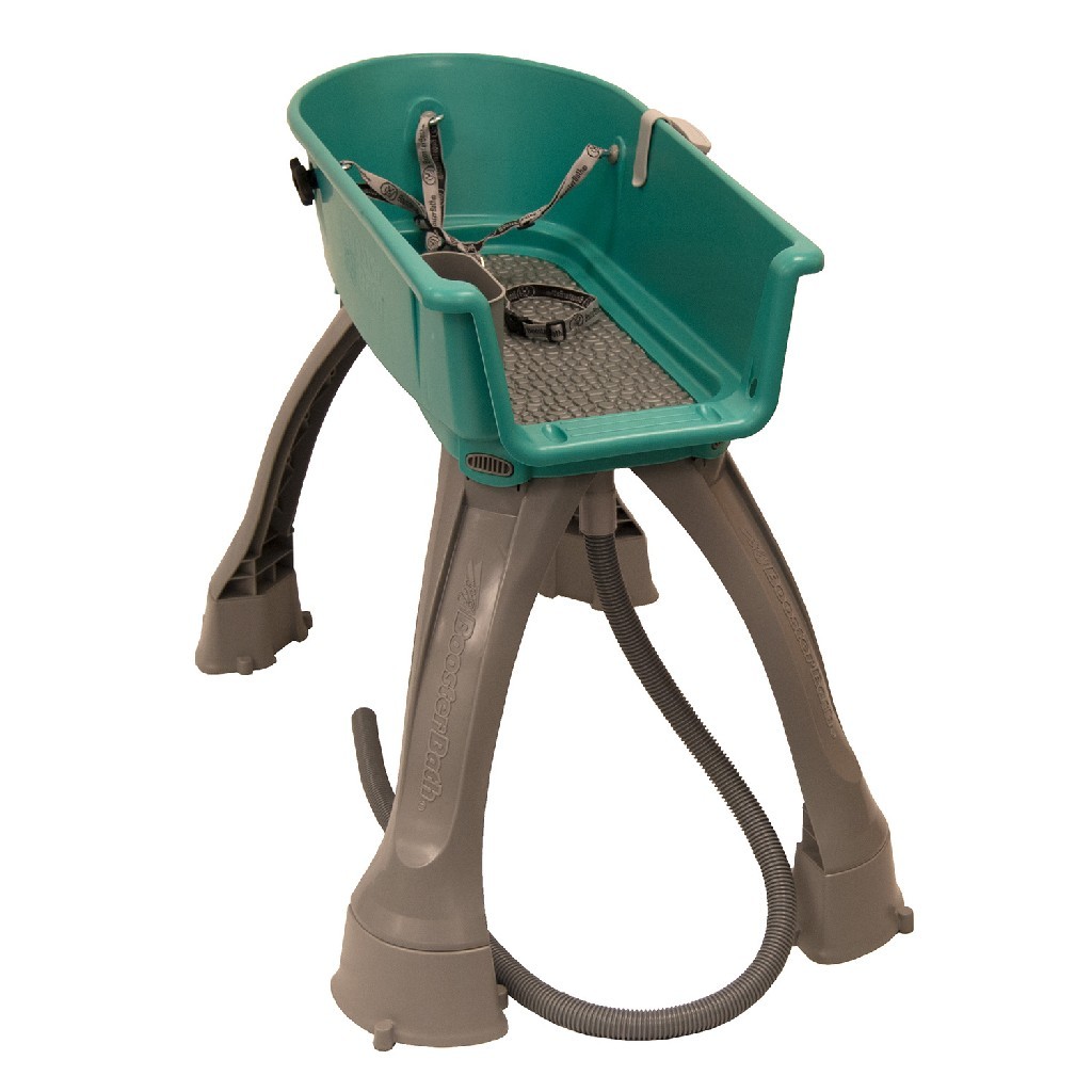 Booster Bath Elevated Dog Bath and Grooming Center Medium Teal 33