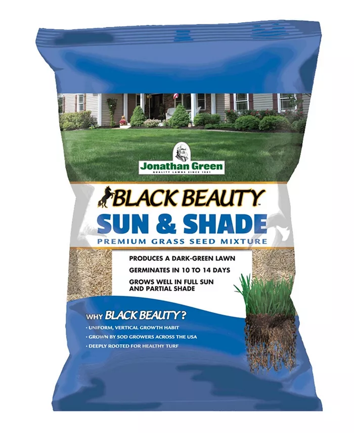 Jonathan Green (#12001) Black Beauty Sun Shade Grass Seed， 1lb bag - Intensery